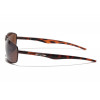 Lunette de soleil Xloop marron