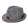 fedora gris