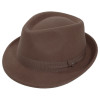fedora castor